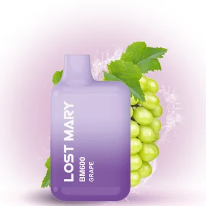 Lost Mary 600 Grape