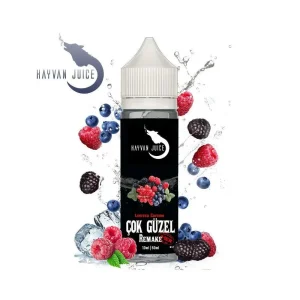 Hayvan Juice Aroma – Cok Güzel Remake 31er