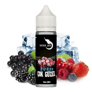Hayvan Juice – Cok Güzel Buzzz Waldfrüchte – Aroma – 10ml