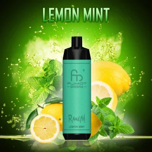 Shisha Lemon Mint